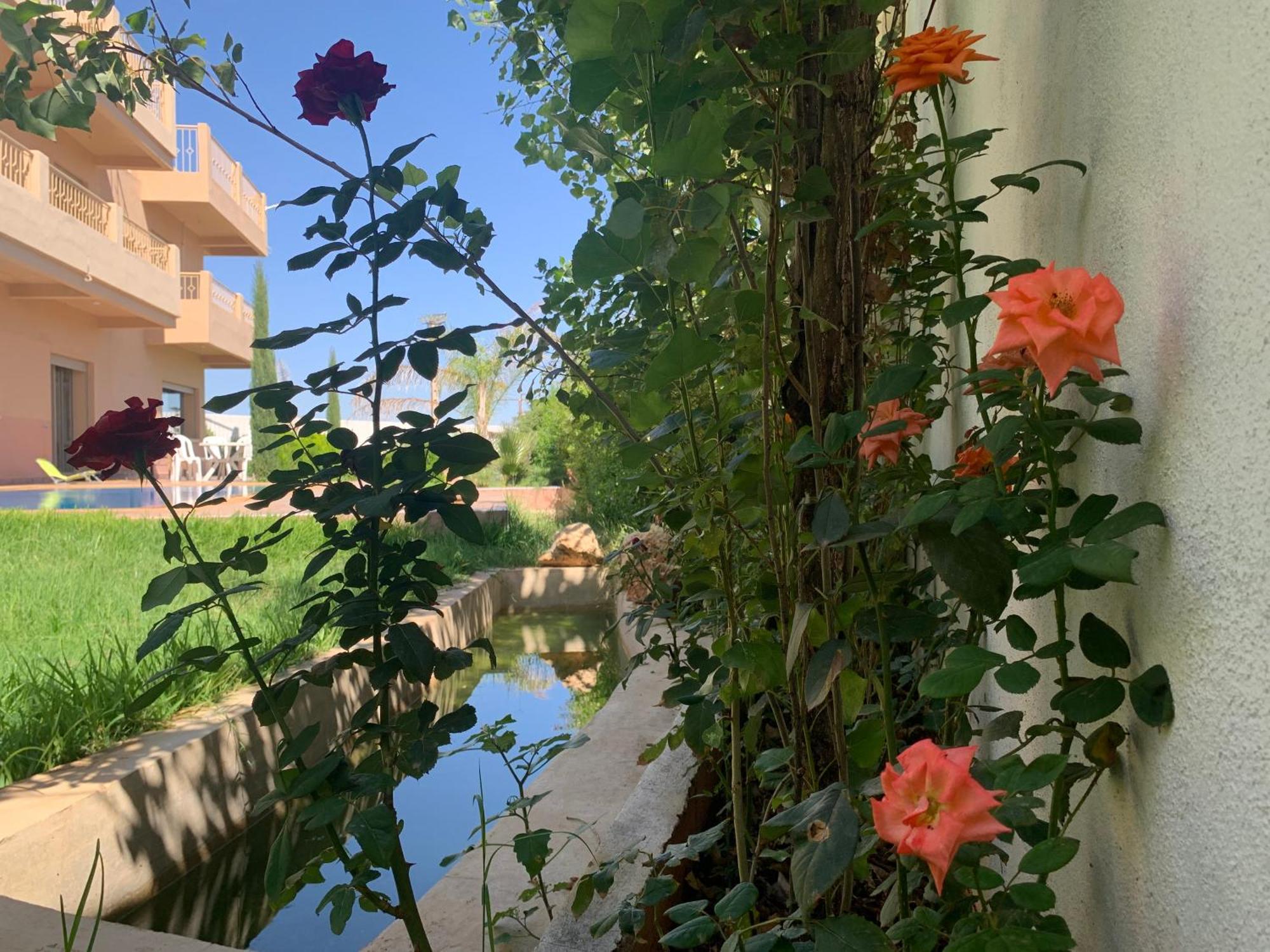 Villa Fatima Fès Dış mekan fotoğraf